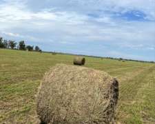 Vendo Rollos de Alfalfa
