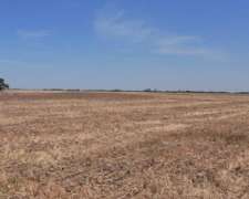 Se Venden 80 Has- Gral Roca