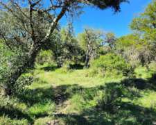 Campo Mixto de 120 Hectareas