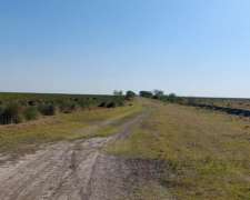 Vendo Campo Ganadero Mixto 15000 Has Dpto Vera Santa FE