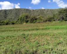 Venta Campo 78 Hcts. en San Luis, Sierras, Arroyo, Bosque
