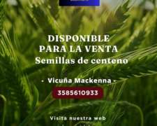 Dispongo De Centeno A La Venta