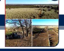 4.000 HA. Abramo, la Pampa