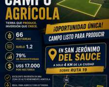 66 Has Agricolas San Jerónimo del Sauce