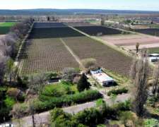 Venta de Finca en Agrelo, Lujan de Cuyo - Mendoza
