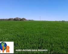 Termas de Rio Hondo , Stgo del Estero 5000 Hect Agric VTA