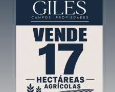 Campo Agrícola 17 Hectáreas San Pedro