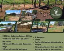 Campo 250has con Titulo