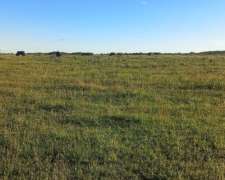 Campo Agricola 125 Hectareas