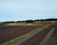 107 Has o 77 y 1/2 en Miramar - de Lujo -