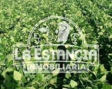 64 Has Mixtas En Tabossi Entre Rios