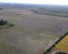 915 Hectáreas Mixtas con Todas las Mejoras, Gualeguaychú.
