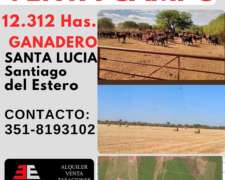 Venta Campo- Argentina. Santiago del Estero, Santa Lucía,