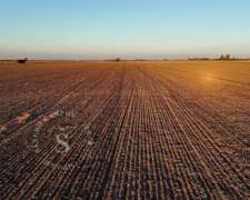 Campo Agrícola. 37 Hectáreas. Humboldt, Santa FE.