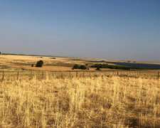 260 Has de Campo Mixto Estomba