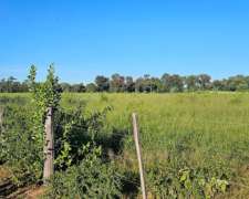 7.500 Ha Todo Monte Para Desarrollar