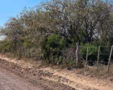 Vendo Campo en Colonia Dora 56 Has Santiago del Estero