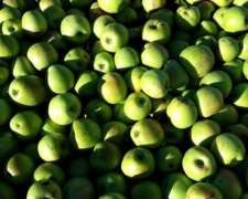 Vendo Fruta De Industria, Manzana, Pera, Membrillo, Zapallo