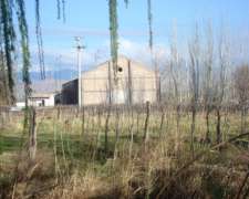 Finca con Bodega en Venta /capdevila, Zona Jocoli