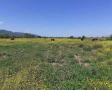 Vendo Campo de 22 Has. Cerca de San Fco. del Monte de ORO