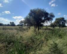 2900 Has Mixtas Ganadera 2200 Ha Silvopastoril C/posib Riego