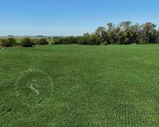 Venta Campo en Correa, Santa FE. 65 HA. Mixto.
