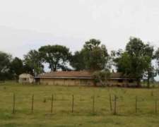 Campo Sobre Ruta en Saladillo