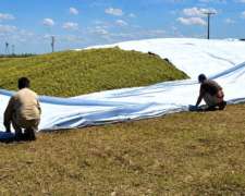 Manta Para Silo Torta - Lasna Insumos