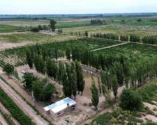 Finca 45ha Chapanay, Dos Pozos, Cultivos y Parte para Chacra