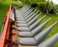 Maicero Mainero Modelo 2008 de 16 a 52