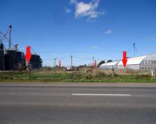 Oport. Liquido Espectacular Terreno 50 X 200 Ruta 5 Km157,2
