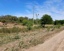 Gran Oportunidad 600 Ha En Chaco J. J. Castelli