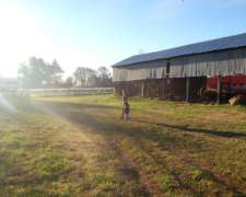 Campo, Ideal Loteo, Florencio Varela 28.4 Hect