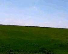 208 Hectáreas Mixtas, Viamonte - CBA