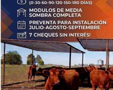 Oportunidad Limitada Sombras Móviles.