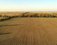 Vendo 400 Has Agrícolas