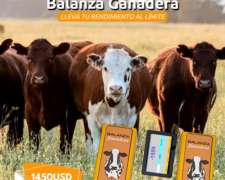 Balanza Ganadera Efe Y Efe