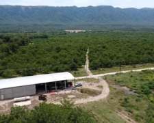 Finca Nogalera En Venta – 105,82 Has – Monte Potrero, Paclín