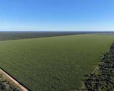 Las Tinajas, Moreno, Santiago Del Estero - 2.123 Ha