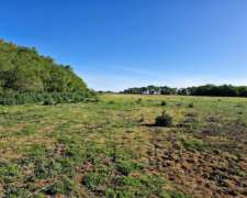 Juancho, General Madariaga, Buenos Aires - 32 Ha