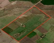 83 Has en Wheelwright