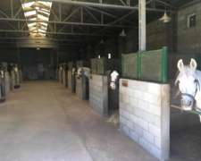 Matrimonio para Cuidado de Predio y Ayuda Domestica