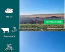 Campo en Coronel Suarez 530 Has