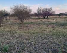 Mil Has. Ganadero Sobre Asfalto