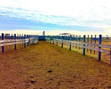 Campo Mixto de 3000 Hectáreas