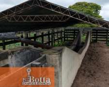 4438has Ganaderas Sobre Ruta San Hilario, Formosa