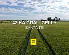 42 Ha Gral. Gelly
