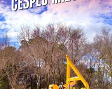 Cortadora de Cesped Roland H