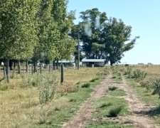 Vendo Campo Mixto en Rauch