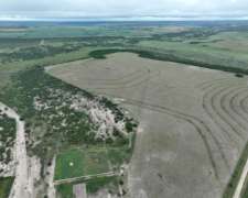 Calchaquí, Santa FE - 1.220 Ha